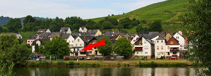 Apartment Mosel - Zell Mosel