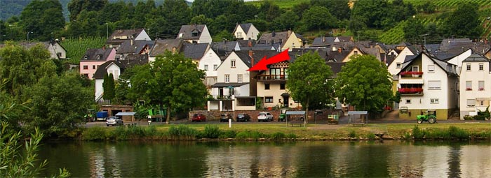 Ferienhaus Mosel - Ferienhaus Annemarie Zell