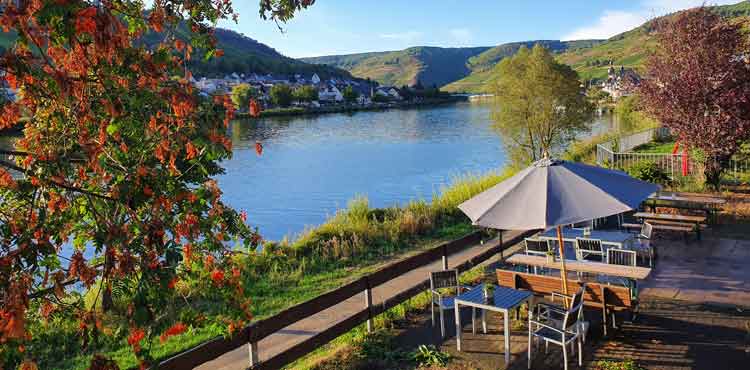 Weingut Hallenbach Zell Mosel