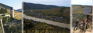 Klettersteig Mosel - Collis Steilpfad