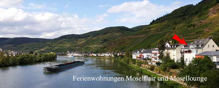 Ferienwohnung Moselflair Zell Mosel