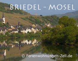 Pension Mosel -Weingut Gibbert Briedel an der Mosel