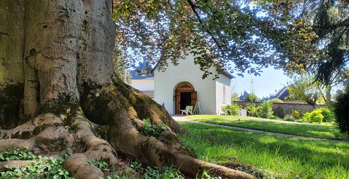 Ferienwohnung in Trier