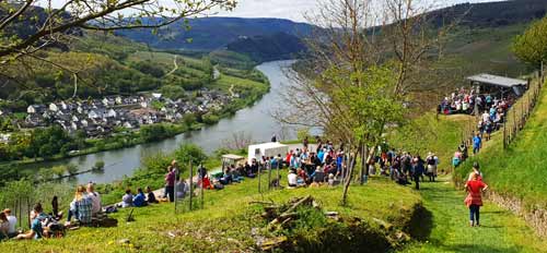 Zeller Schwarze Katz Festival